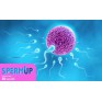 SpermUP 30caps - preparat poprawiający jakość spermy
